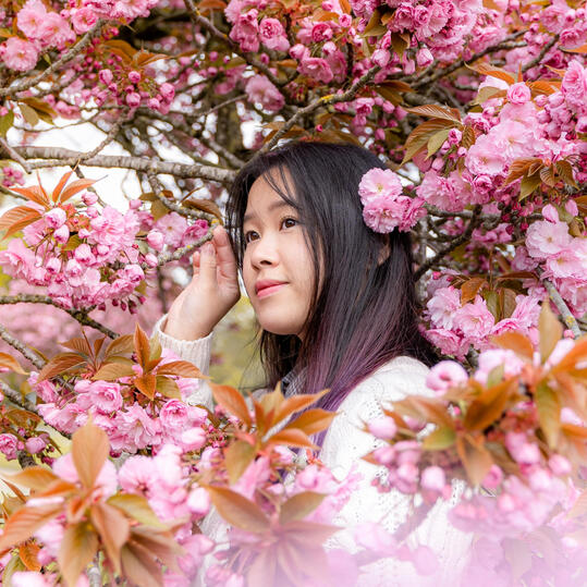 Photo prise par @sowsong_